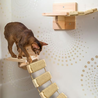 Adjustable Cat Ladder & Bridge - Image 2