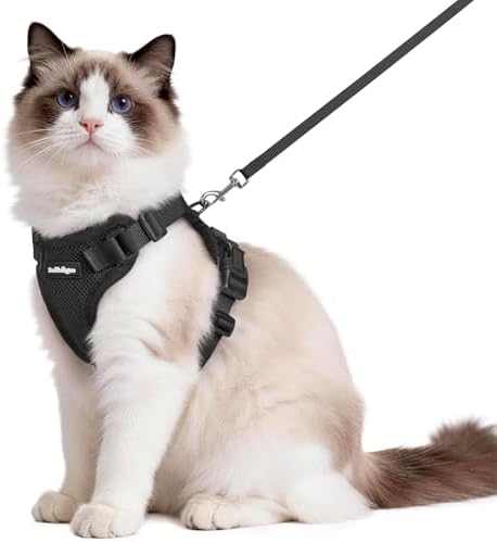 rabbitgoo Cat Harness and Leash Set, Escape Proof Vest by rabbitgoo