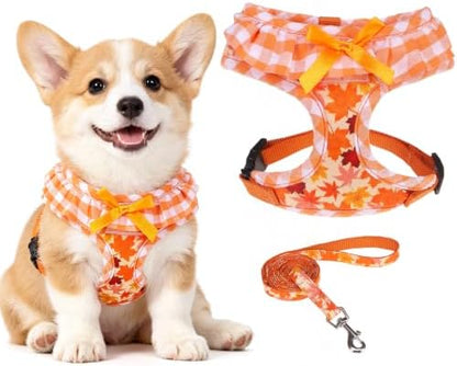 EXPAWLORER Fall Dog Harness and Leash Set Small Sized by EXPAWLORER