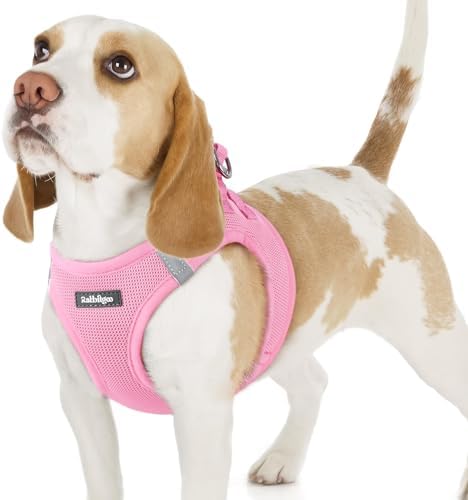 rabbitgoo Step-in Small Dog Harness, Puppy Vest by rabbitgoo