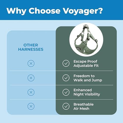 Voyager Step-in Flex Adjustable Dog Harness - Image 3