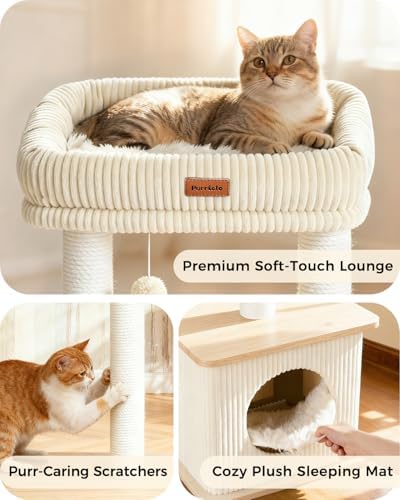 Small Cat Tree for Indoor Kittens - Image 2