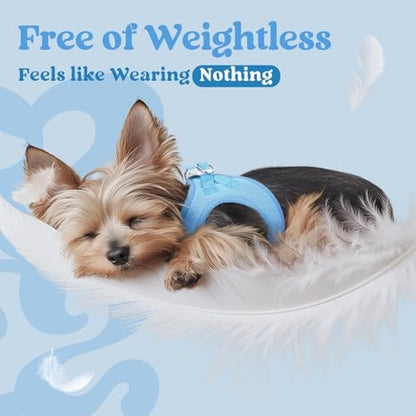 rabbitgoo Step-in Small Dog Harness, Puppy Vest - Image 4