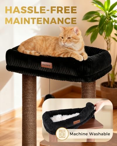 Small Cat Tree for Indoor Kittens - Image 4