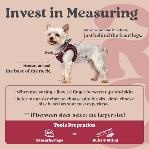 rabbitgoo Step-in Small Dog Harness, Puppy Vest - Image 2