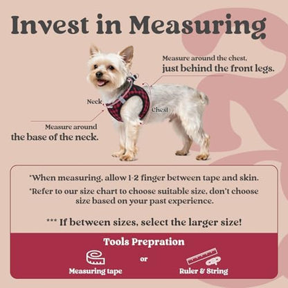 rabbitgoo Step-in Small Dog Harness, Puppy Vest - Image 2