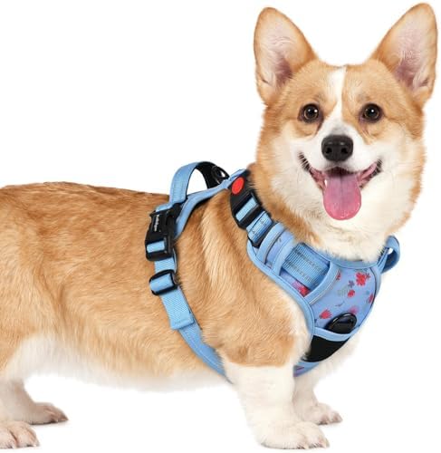 rabbitgoo Dog Harness Small Sized, Updated Easy On & Off by rabbitgoo