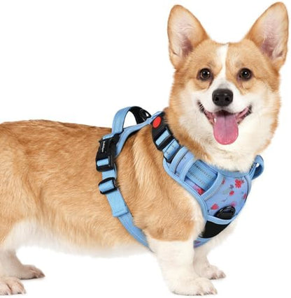 rabbitgoo Dog Harness Small Sized, Updated Easy On & Off by rabbitgoo