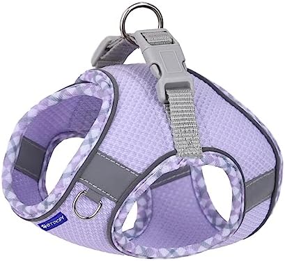 Step in Mesh Dog Harness and Leash Set Breathable Air Mesh Harness - Image 2