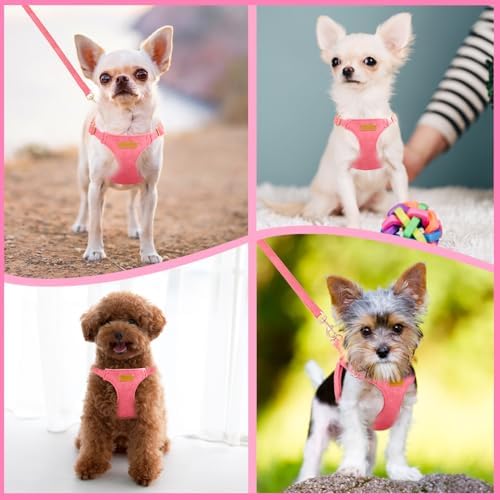 SlowTon No Pull Dog Harness - Image 7