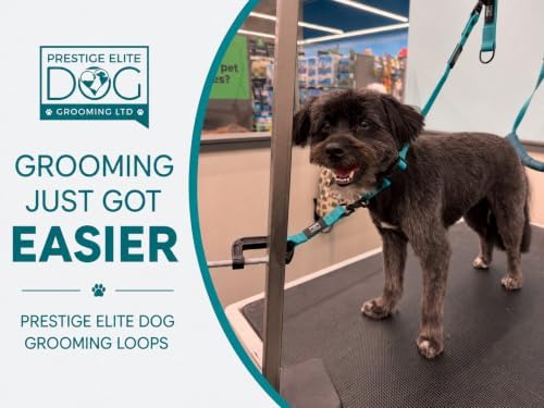 Dog Grooming Loop, Adjustable Pet Grooming Table & Bath Restraints, Pet - Image 2