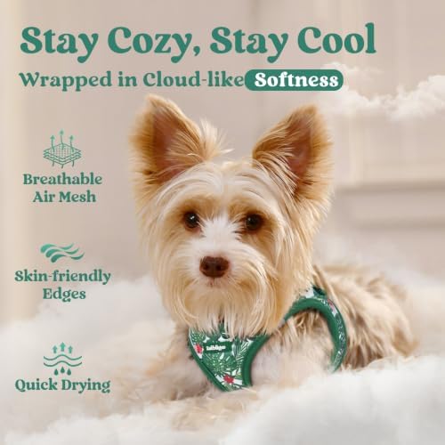 rabbitgoo Step-in Small Dog Harness, Puppy Vest - Image 3