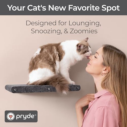 Cat Wall Shelf - Indoor & Outdoor by Pryde Pets - Image 5