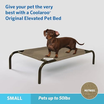 Coolaroo The Original Cooling Elevated Pet Bed - Image 2