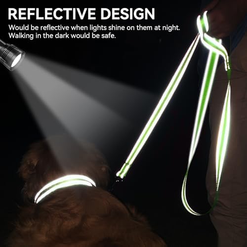 Joytale Reflective Dog Leash for Medium & Large Dogs, 4 FT x 1" - Image 4