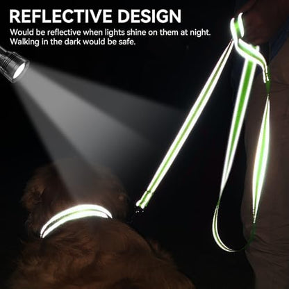 Joytale Reflective Dog Leash for Medium & Large Dogs, 6 FT x 1" - Image 4