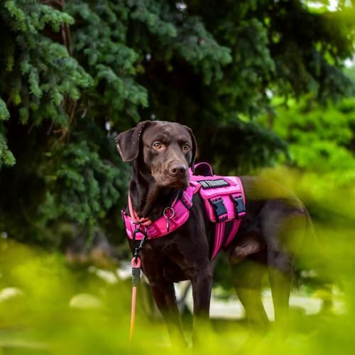 Dog Harness for Large Dogs, No Pull Tactical Vest - Image 2