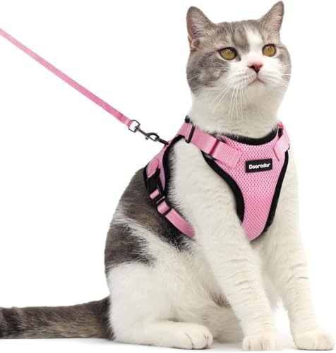 Dooradar Cat Harness and Leash Set, Adjustable and Escape Proof by Dooradar