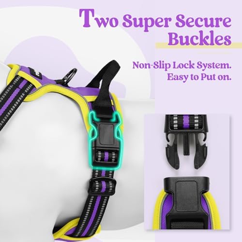 rabbitgoo Dog Harness, No Pull Medium Sized - Image 3