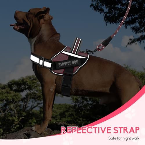Service Dog Vest Harness and Leash Set, Animire in Training Dog Harness - Image 5