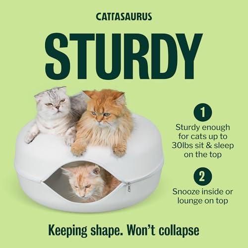 Cattasaurus Peekaboo Cat Cave Donut - Image 4
