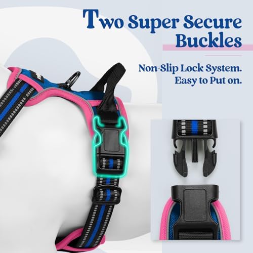 rabbitgoo Dog Harness, No Pull for Small Dogs - Image 3