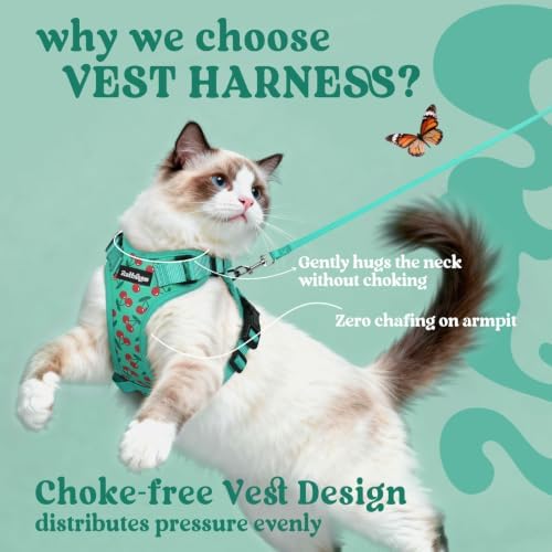 rabbitgoo Cat Harness and Leash Set, Escape Proof Vest, Cherry Grove - Image 3