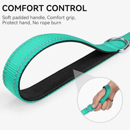 Joytale Reflective Dog Leash for Medium & Large Dogs, 5 FT x 1" - Image 3
