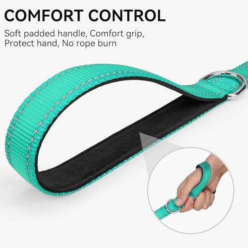 Joytale Reflective Dog Leash for Small Dogs, 5 FT x 3/4" - Image 3