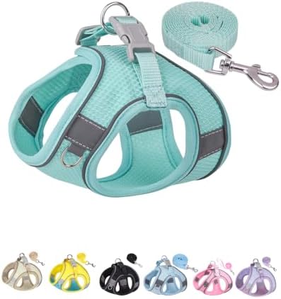 Solmoony Dog Harness for Small Medium Dogs No Pull, Puppy Harness and Leash Set by SOLMOONY
