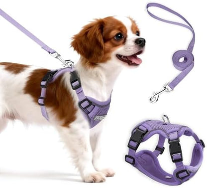 Small Dog Harness and Leash Set, Adjustable Small Sized Pet Vest by Unknown