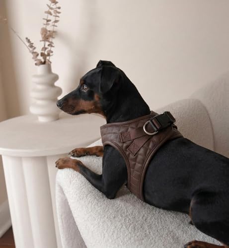 Step in Dog Harness, Lightweight Breathable Mesh Soft Padded Pet Vest, Vegan - Image 4