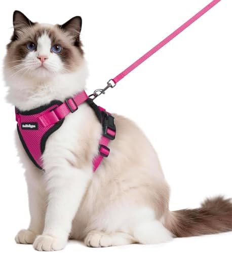 rabbitgoo Cat Harness and Leash Set, Escape Proof Vest, Rose Red by rabbitgoo
