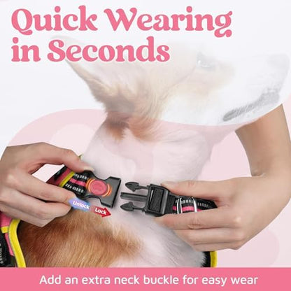 rabbitgoo Dog Harness Small Sized, No Pull 3 Buckles Easy On & Off - Image 2