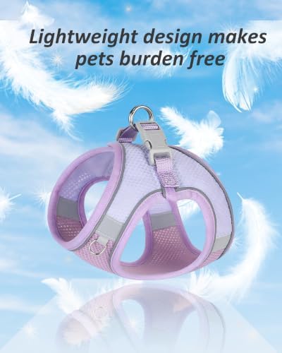 Solmoony Dog Harness for Small Medium Dogs No Pull, Puppy Harness and Leash Set - Image 3