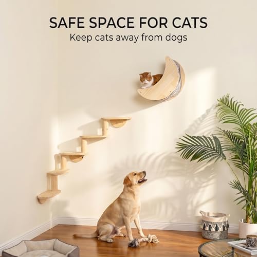 Cat Wall Shelves, Solid Wood Moon Bed, 5-Step Stairs - Image 4