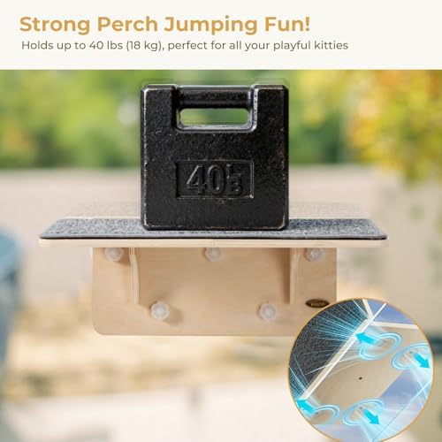 Pecute 2-in-1 Large Cat Window Perch & Wall Shelves, Solid Wood - Image 5