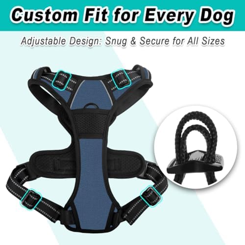 BARKBAY Dog Harness for Small Sized Dog No Pull 2 Leash Clips Dog Vest - Image 6