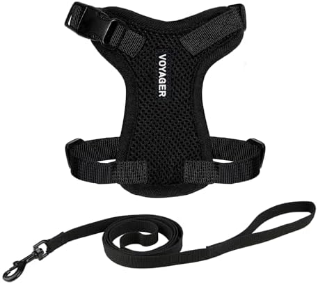 Voyager Step-in Lock Cat Harness & Leash Set by BestPetSuppliesLLC