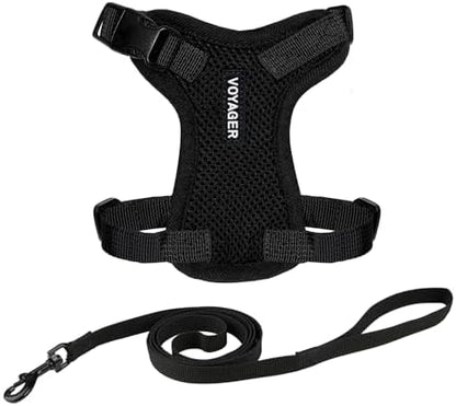 Voyager Step-in Lock Cat Harness & Leash Set by BestPetSuppliesLLC