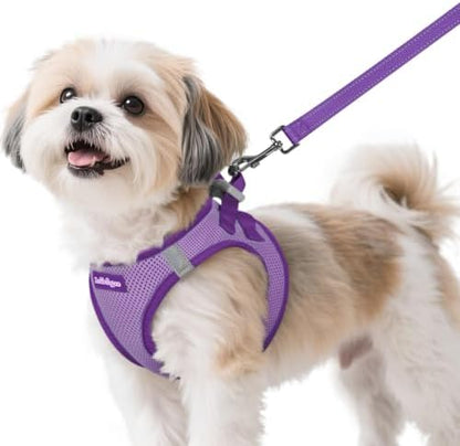 rabbitgoo Dog Harness Small Sized and Leash Set, Step in Soft Vest by rabbitgoo