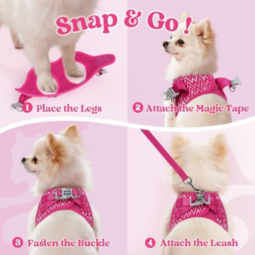 rabbitgoo Dog Harness Small Sized and Leash Set, Step in Soft Vest - Image 2