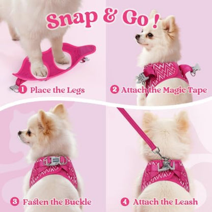 rabbitgoo Dog Harness Small Sized and Leash Set, Step in Soft Vest - Image 2