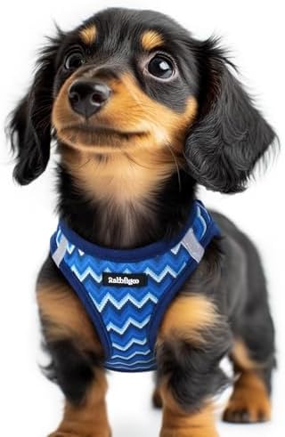 rabbitgoo Step-in Small Dog Harness, Puppy Vest by rabbitgoo