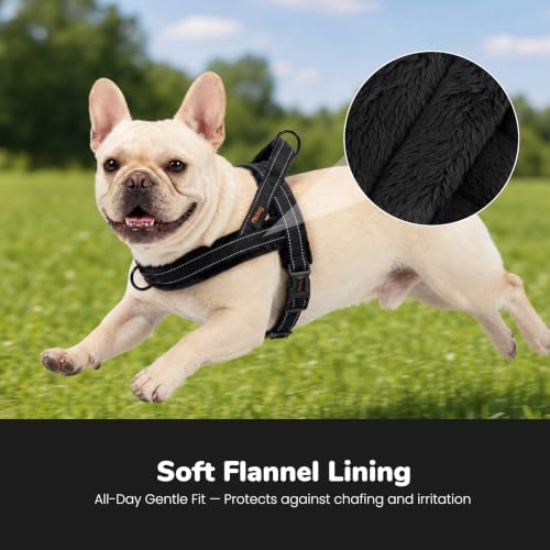 Didog No Pull Dog Harness for Small Dogs, Soft Flannel Padded - Image 2