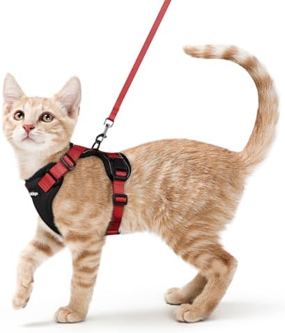rabbitgoo Cat Harness and Leash Set, Escape Proof Vest by rabbitgoo