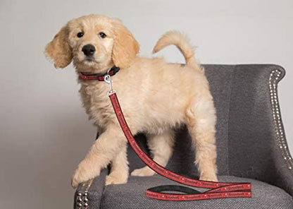 Tampa Bay Buccaneers Leash - Image 3