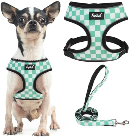 PUPTECK Small Dog Harness and Leash Set No Pull by PUPTECK