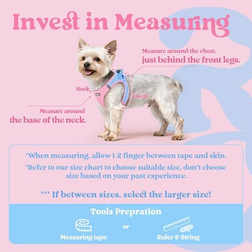 rabbitgoo Step-in Small Dog Harness, Puppy Vest - Image 2