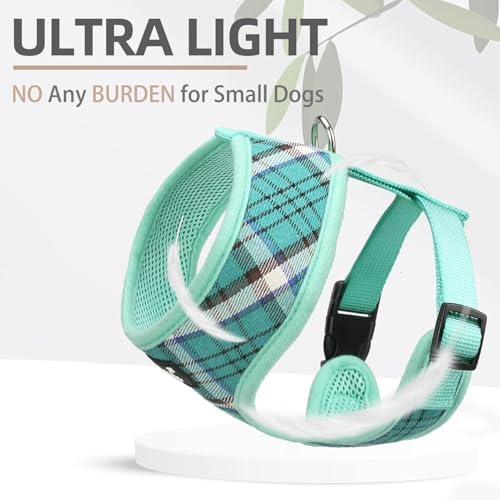 PUPTECK Small Dog Harness and Leash Set No Pull - Image 5